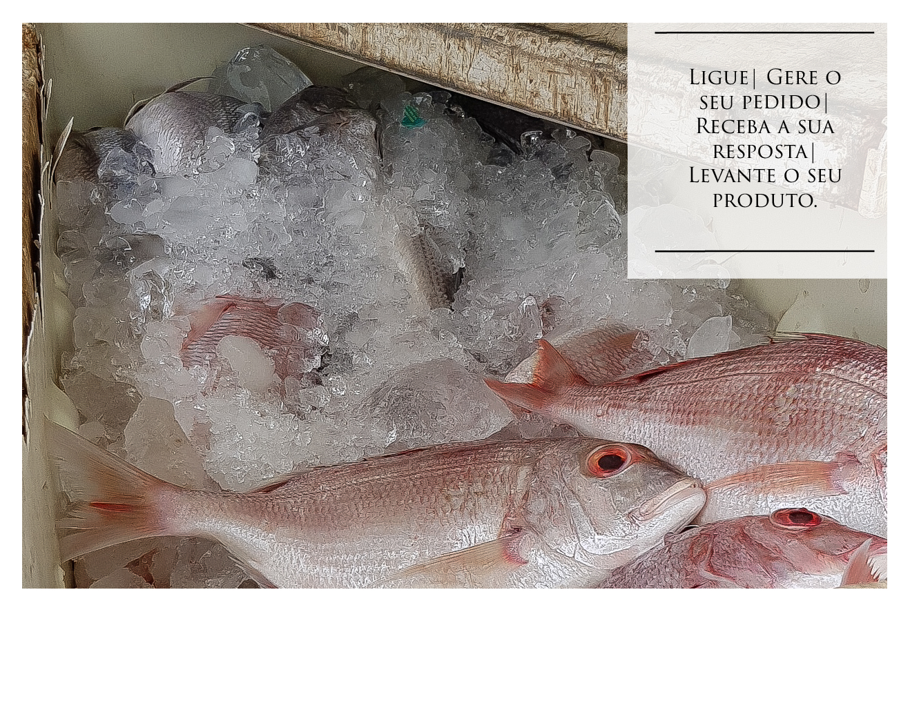 Riquim Peixe e Mariscos